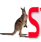 Promotion airfare to Sydney