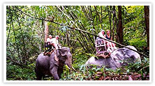 Thailand Natural Beauty